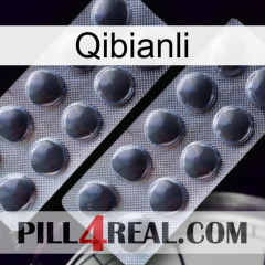 Qibianli 31